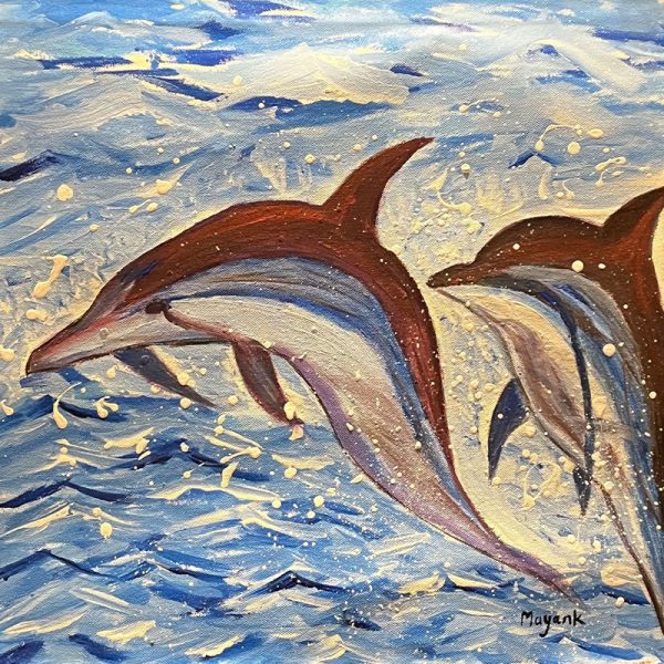 Dolphins